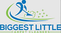 BIGGEST LITTLE CARPET CLEANERS